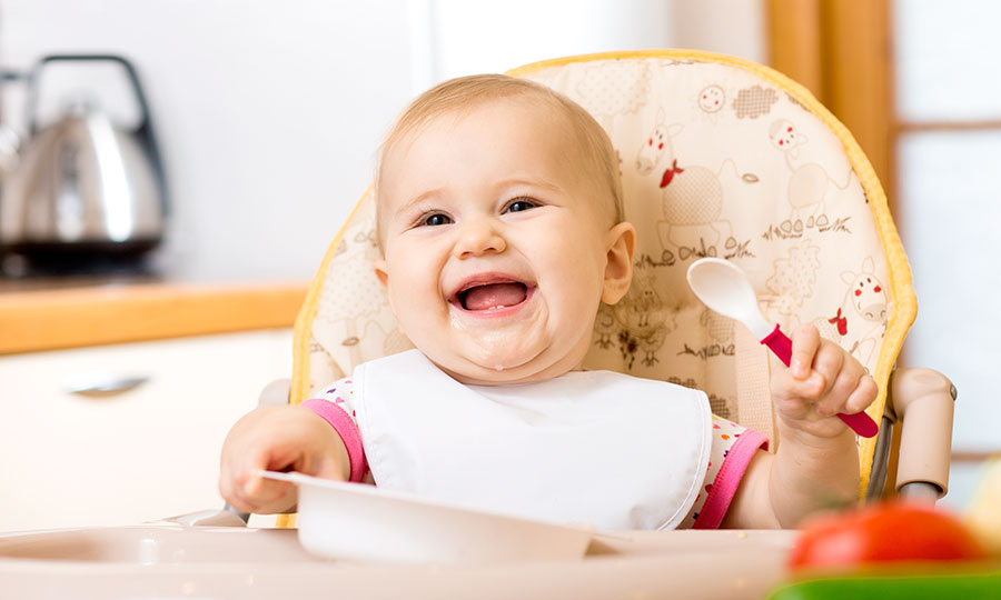 Особенности питания ребенка 9-10-11 месяцев. Энергетический этап
